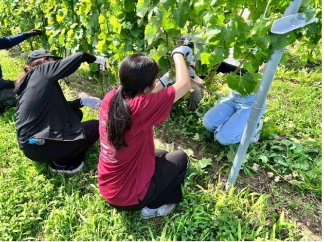 （除葉作業について丁寧に説明してくださるなど、主に1日目のボランティア活動を見てくださった土田竜さんとともに）