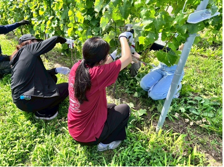 （除葉作業について丁寧に説明してくださるなど、主に1日目のボランティア活動を見てくださった土田竜さんとともに） 